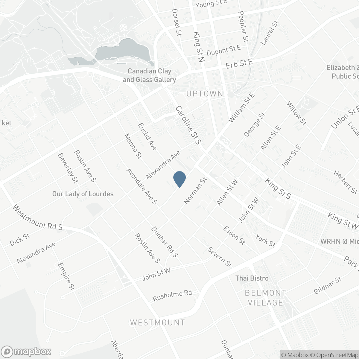 64 WILLIAM Street W, Waterloo, Ontario N2L 1J7